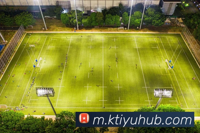 K体育平台生态图